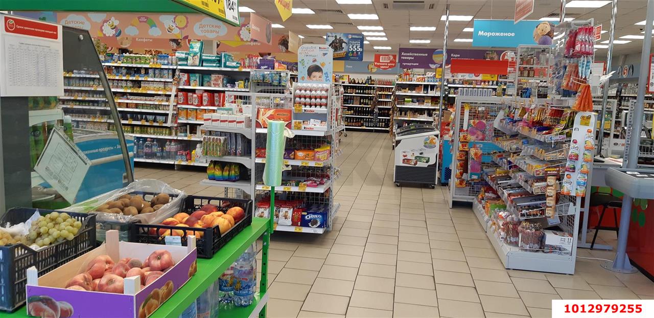 Фото №5: Коммерция 514 м² - Геленджик, мкр. Магилат, ул. Сурикова, 42