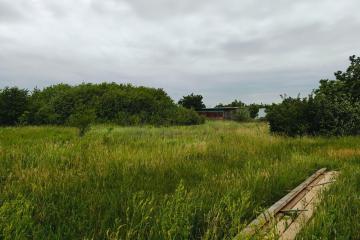 Фото №4: Земельный участок 8 сот. - садовое некоммерческое товарищество Авиатор, мкр. Прикубанский внутригородской округ, ул. Грушевая, 273