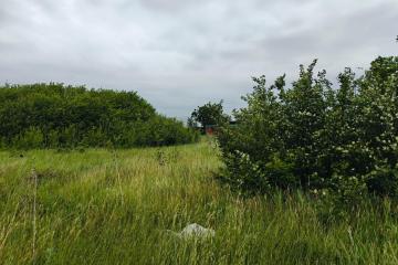 Фото №2: Земельный участок 8 сот. - садовое некоммерческое товарищество Авиатор, мкр. Прикубанский внутригородской округ, ул. Грушевая, 273