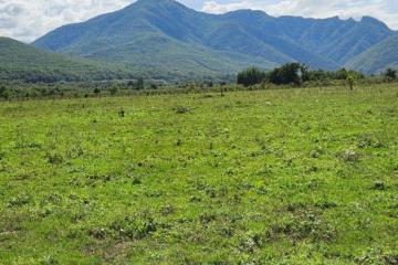 Фото №5: Коммерция 150 м² - Даховская, мкр. Светлоград, ул. Советская, 20