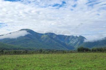 Фото №4: Коммерция 150 м² - Даховская, мкр. Светлоград, ул. Советская, 20