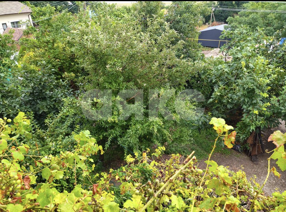 Фото №16: Дом 150 м² + 4.5 сот. - Геленджик, мкр. СНТ Виноградарь-3, 60