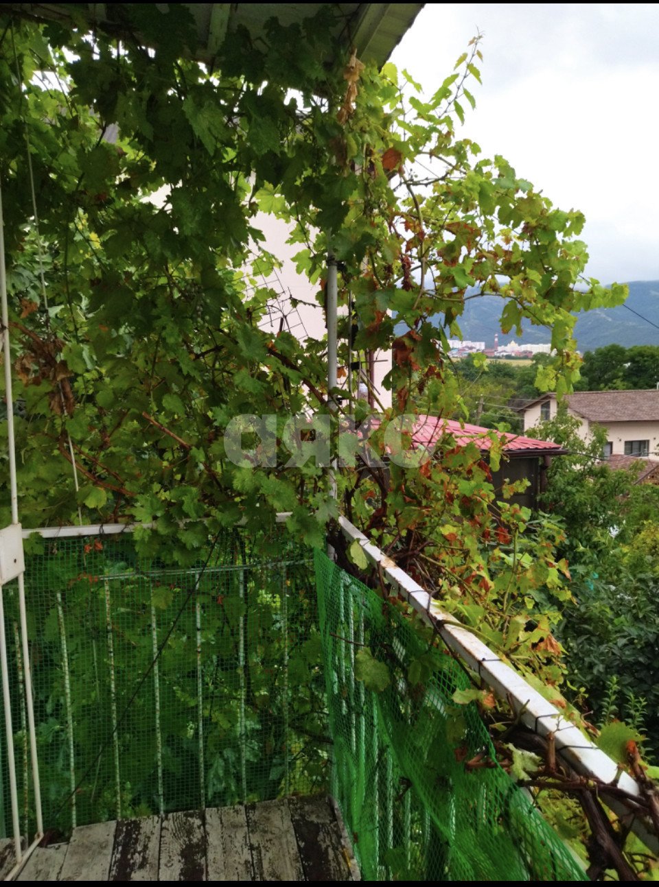 Фото №13: Дом 150 м² + 4.5 сот. - Геленджик, мкр. СНТ Виноградарь-3, 60