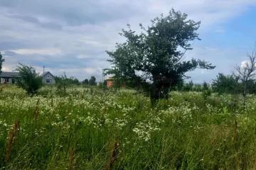 Фото №3: Земельный участок 10 сот. - Заря, ул. Малиновая, 20