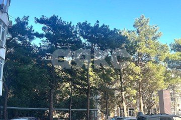 Фото №2: 1-комнатная квартира 74 м² - Геленджик, ул. Шмидта, 8