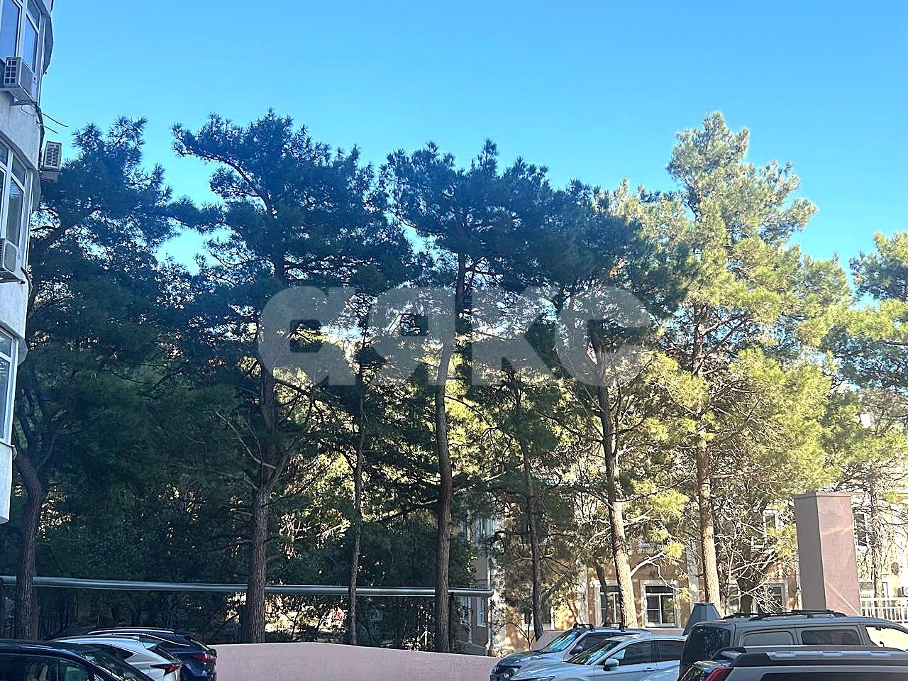 Фото №2: 1-комнатная квартира 74 м² - Геленджик, ул. Шмидта, 8