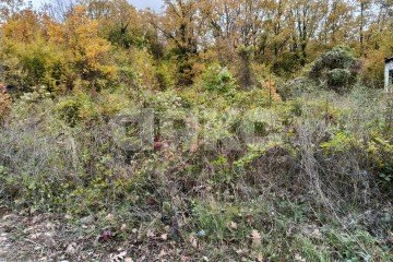 Фото №2: Участок садоводство - ДНТ Океан, 