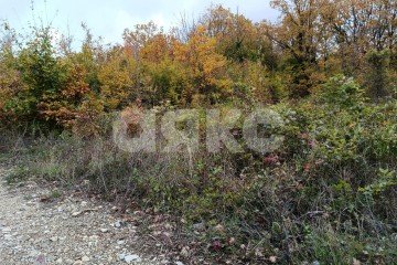 Фото №1: Участок садоводство - ДНТ Океан, 