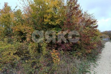 Фото №3: Участок садоводство - ДНТ Океан, 