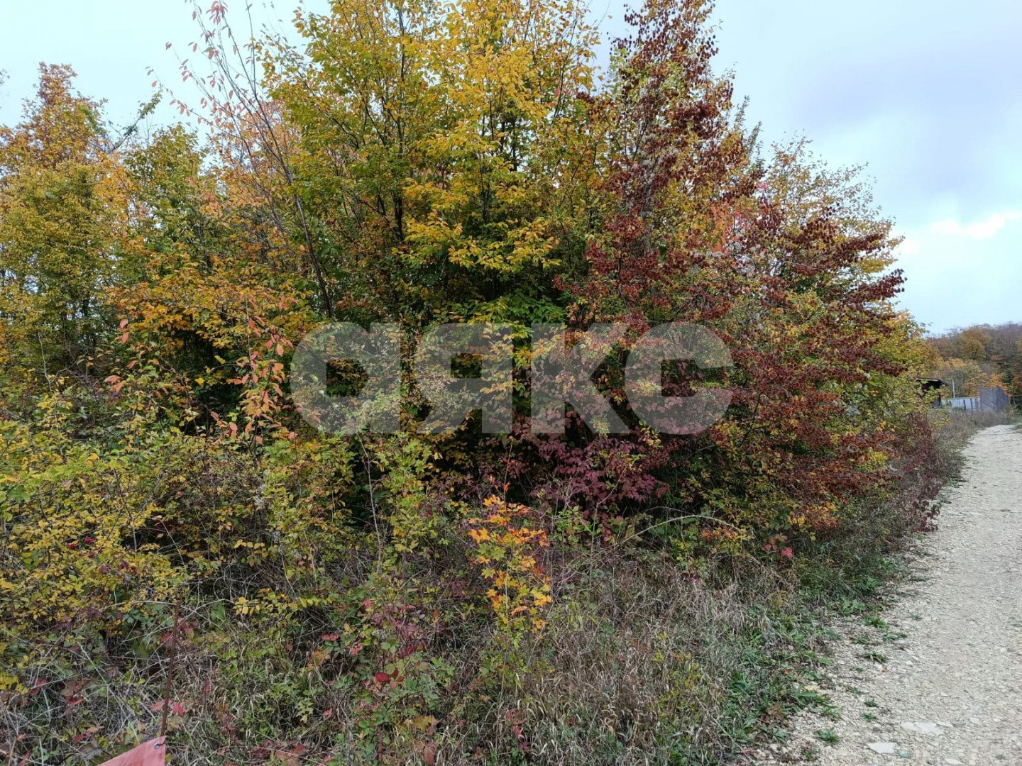 Фото №3: Участок садоводство 6 сот. - ДНТ Океан