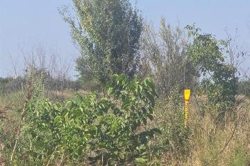 Фото №2: Земельный участок 6 сот. - Энем, ул. имени М.Ш. Бжассо, 5