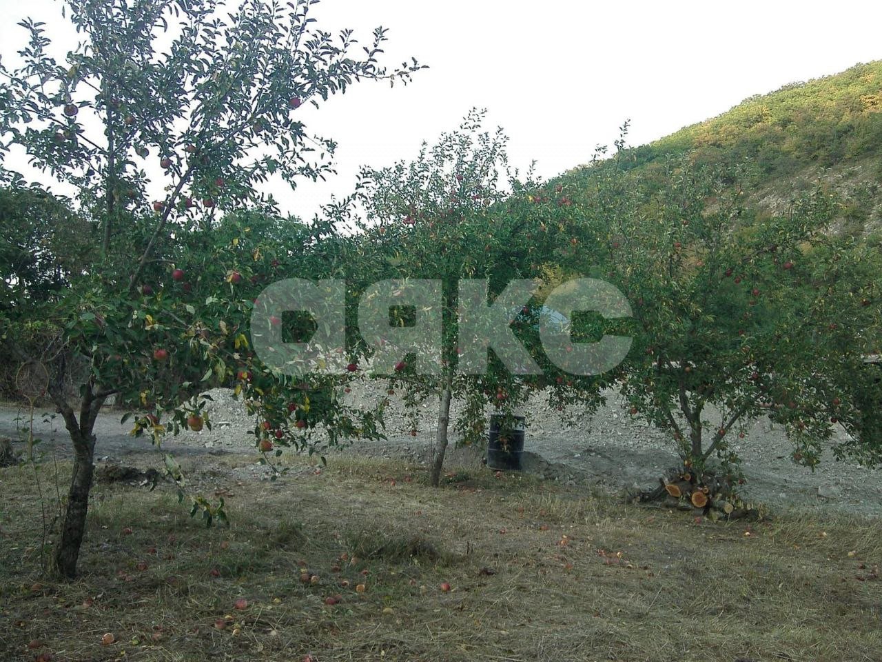 Фото №20: Коттедж 190 м² + 10 сот. - Геленджик, мкр. СНТ Виноградарь-3, ул. Ленина