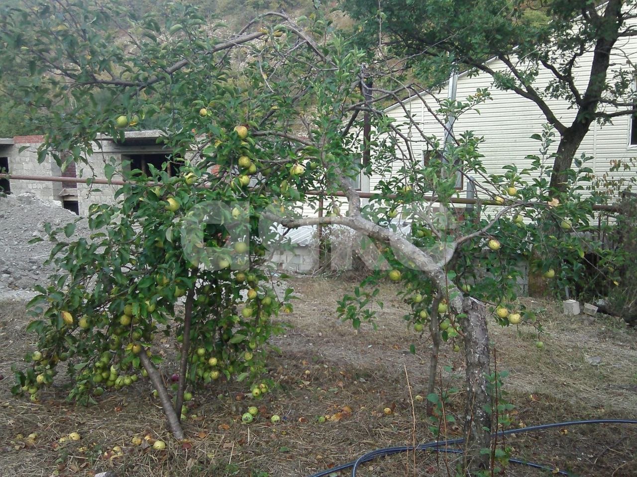 Фото №18: Коттедж 190 м² + 10 сот. - Геленджик, мкр. СНТ Виноградарь-3, ул. Ленина